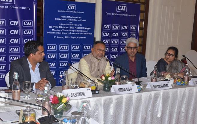 CII National Committee on Power